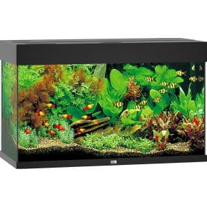 Juwel Aquarium Rio LED Schwarz 125 l