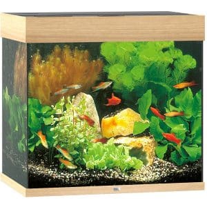 Juwel Aquarium-Set Lido LED helles Holz 120 l