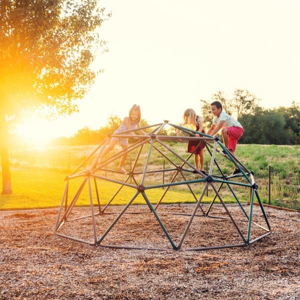 Lifetime Kletterkugel Geodome Grün-Bronze mit Abdeckung 305 cm x 152 cm