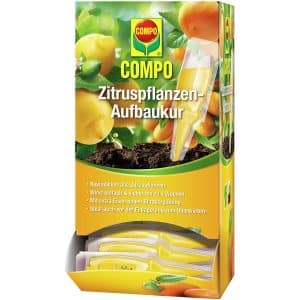 Compo Zitruspflanzen Aufbaukur 30 ml